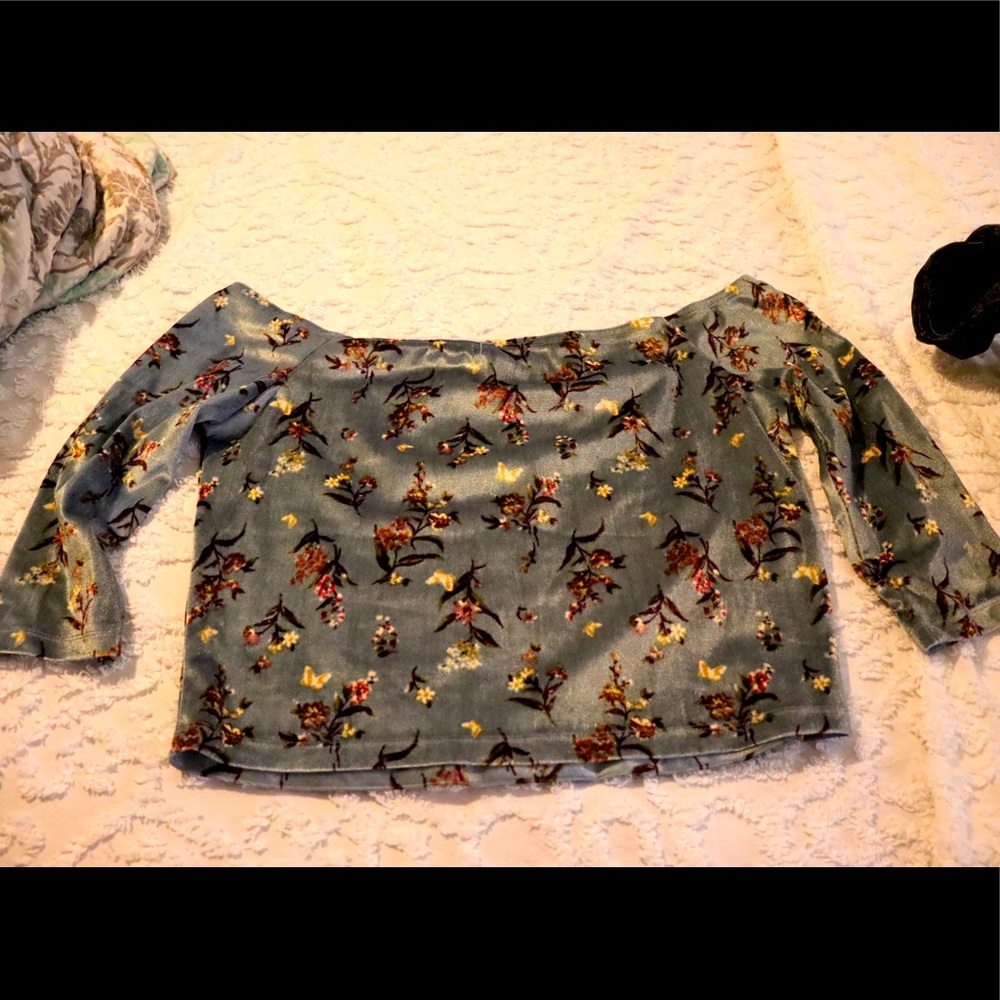 Velvet Ivy&Main Crop Top